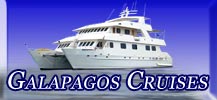 Read about Cruises and Different Classes.